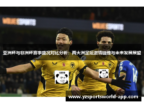 亚洲杯与非洲杯赛事盛况对比分析：两大洲足坛激情碰撞与未来发展展望